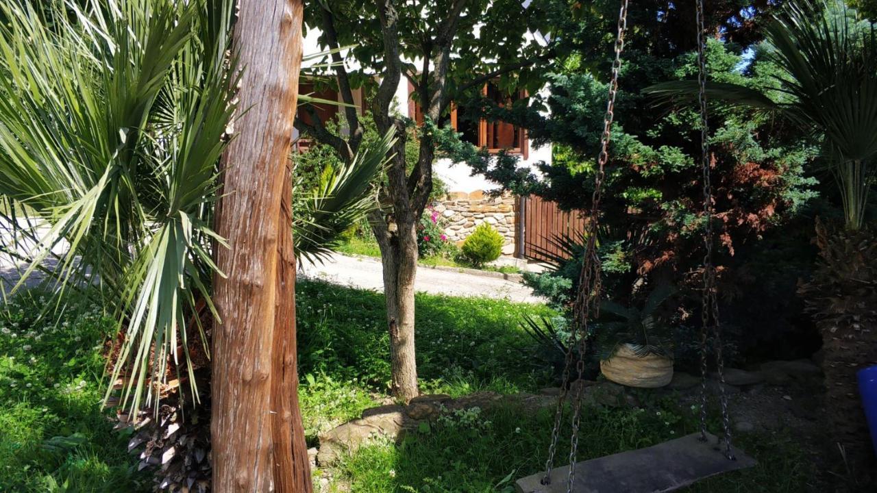 Ковчег Lidzava מראה חיצוני תמונה